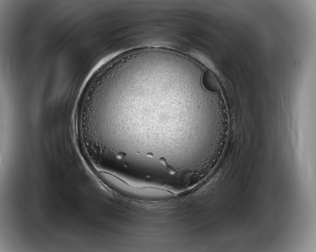 X0000085001032200703121456