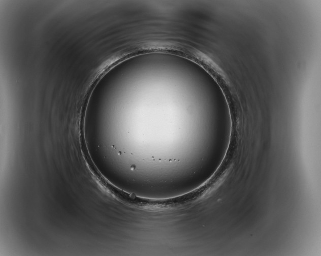 X0000085001033200703121456