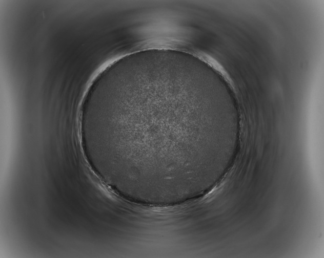 X0000085001035200703121456