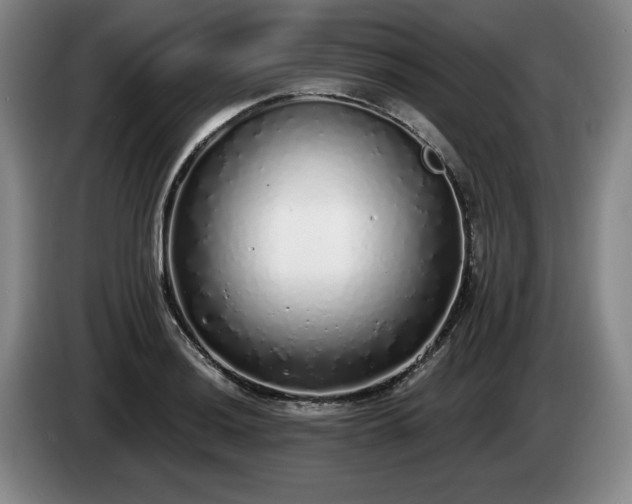 X0000085001036200703121456