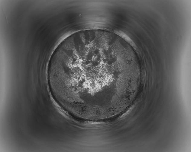 X0000085001039200703121456