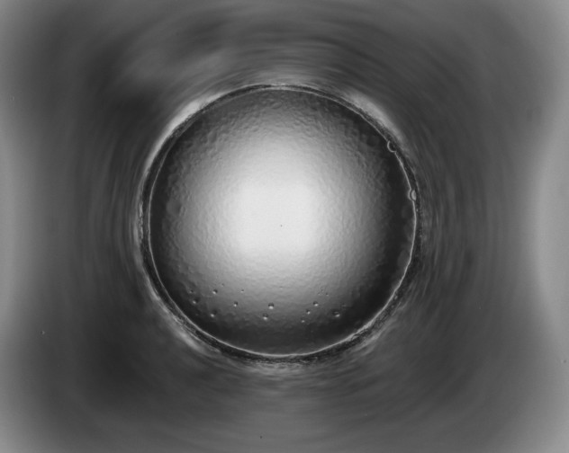 X0000085001040200703121456