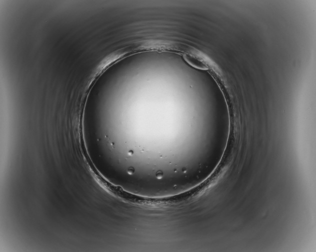 X0000085001041200703121456