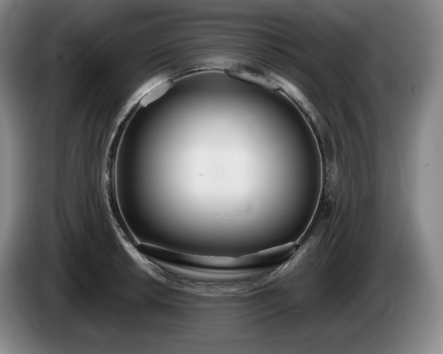 X0000085001042200703121456