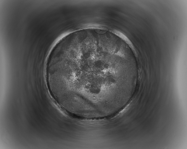 X0000085001043200703121456