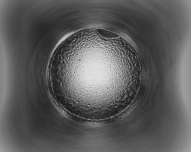 X0000085001044200703121456