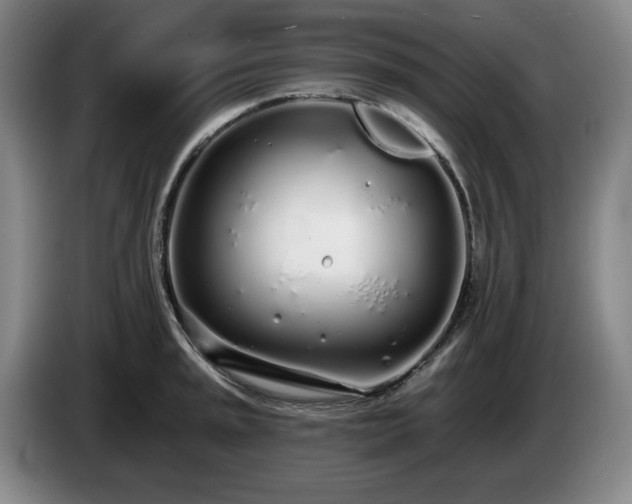 X0000085001045200703121456