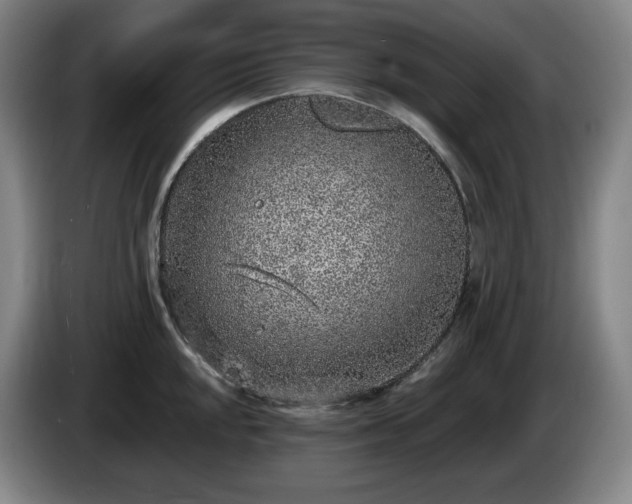 X0000085001048200703121456