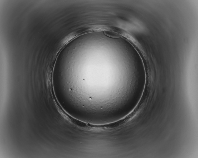 X0000085001049200703121456