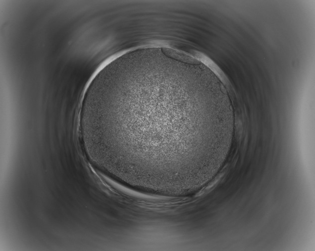 X0000085001052200703121456