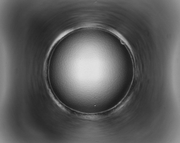 X0000085001053200703121456