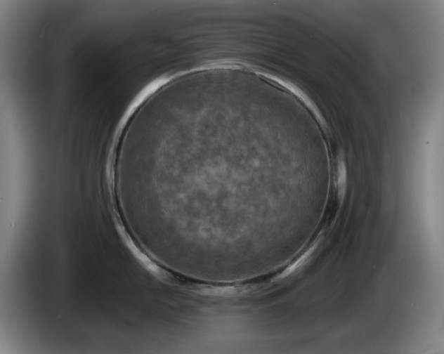 X0000085001054200703121456