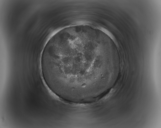 X0000085001055200703121456