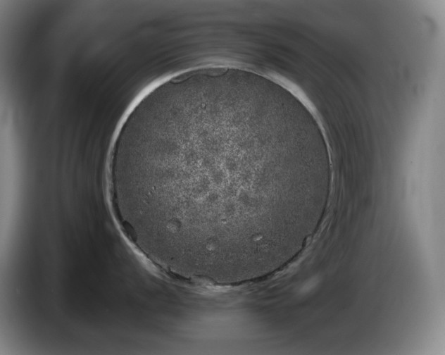 X0000085001056200703121456