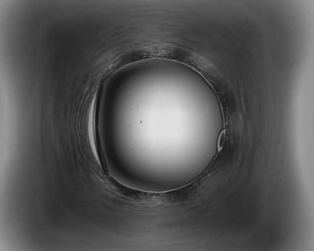 X0000085001058200703121456