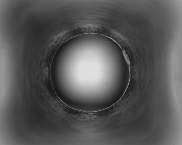 X0000085001061200703121456