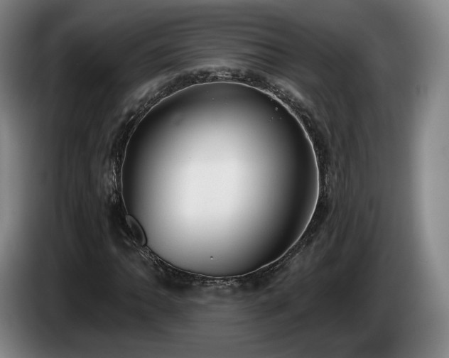 X0000085001062200703121456