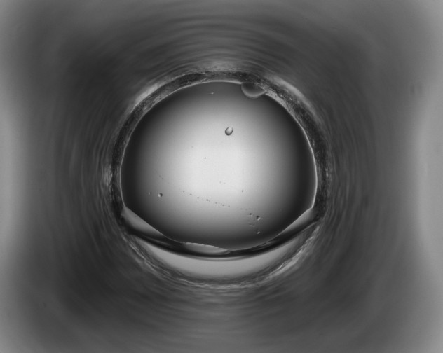 X0000085001065200703121455