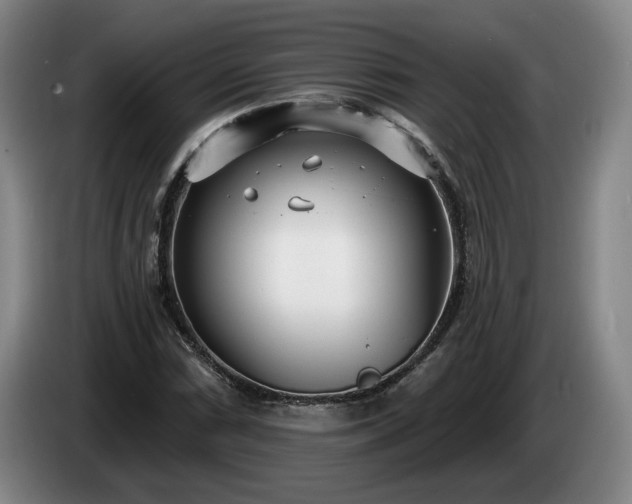 X0000085001066200703121455