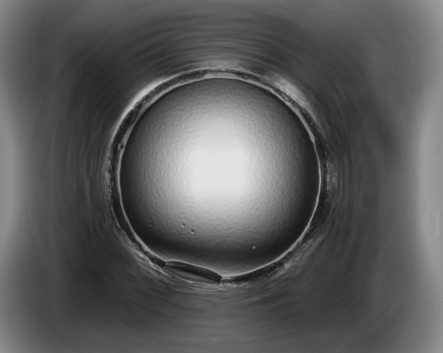 X0000085001068200703121455