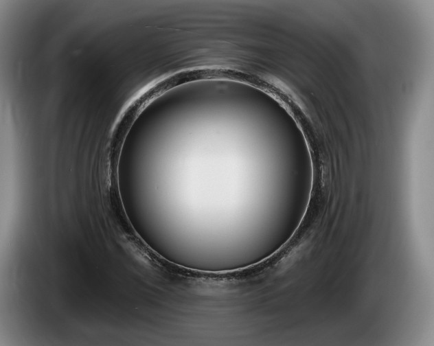 X0000085001069200703121455