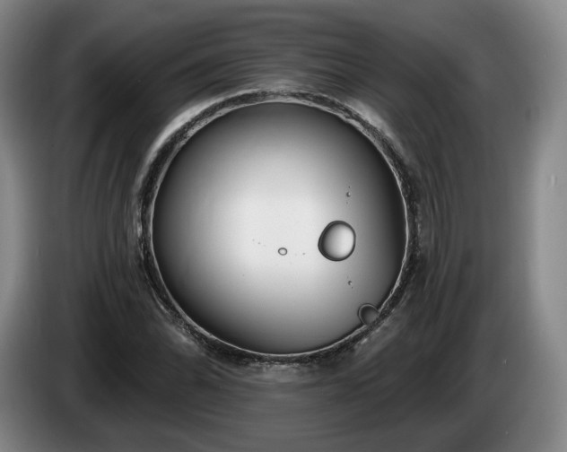 X0000085001070200703121455