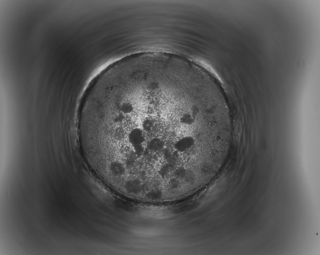 X0000085001071200703121455