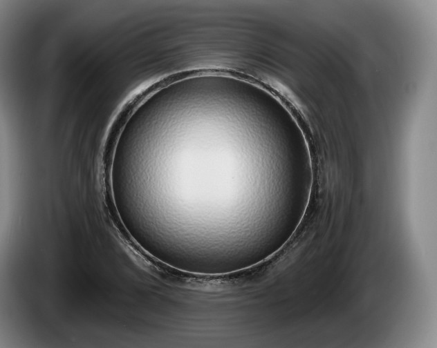 X0000085001072200703121455