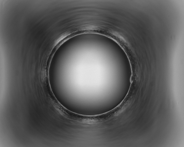 X0000085001073200703121455