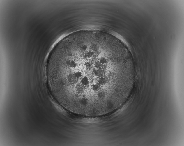 X0000085001075200703121455