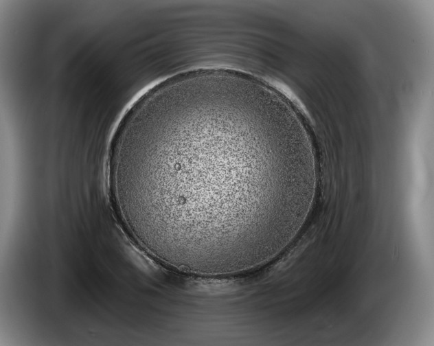 X0000085001076200703121455