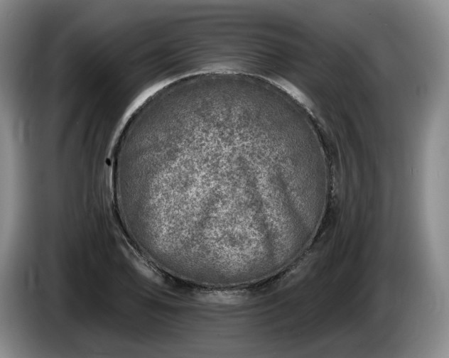 X0000085001078200703121455