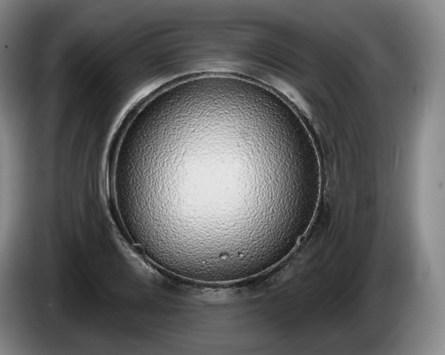 X0000085001080200703121455