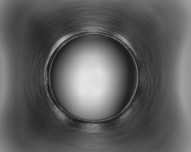 X0000085001082200703121455