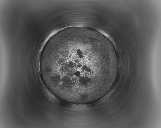 X0000085001083200703121455