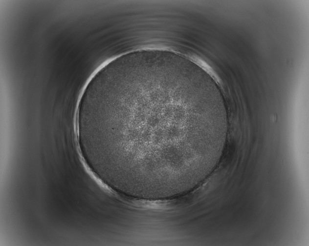 X0000085001084200703121455