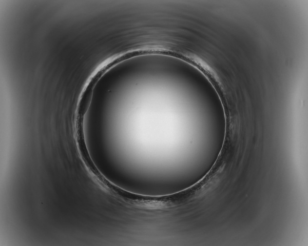 X0000085001085200703121455