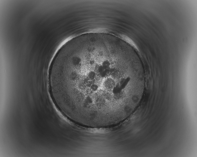 X0000085001087200703121455