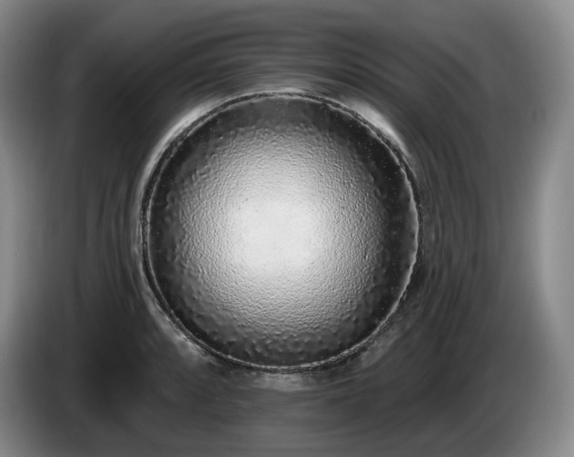 X0000085001088200703121455