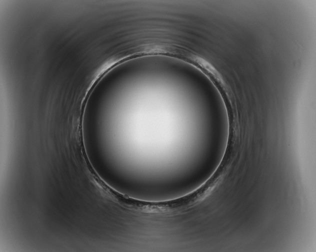 X0000085001089200703121455