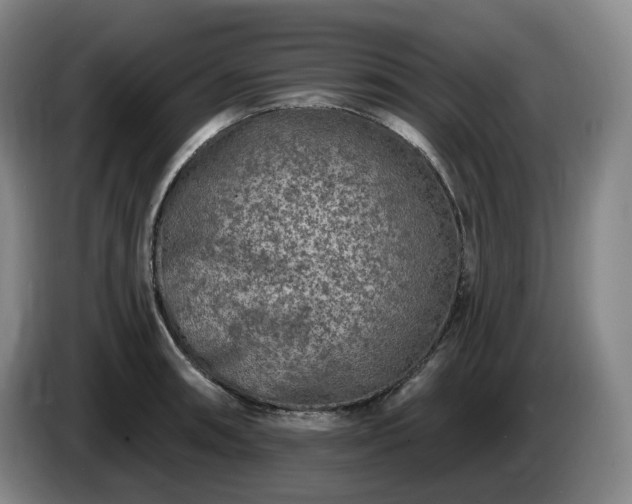 X0000085001090200703121455