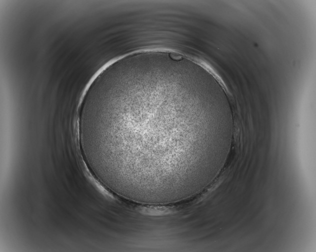 X0000085001092200703121455