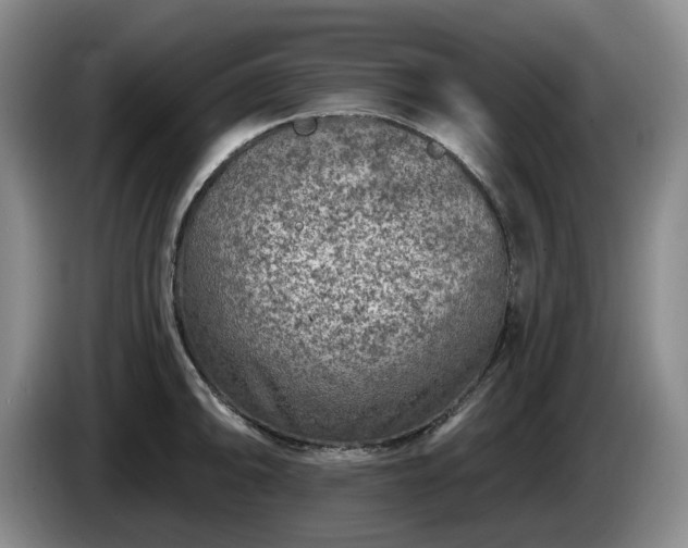 X0000085001094200703121455