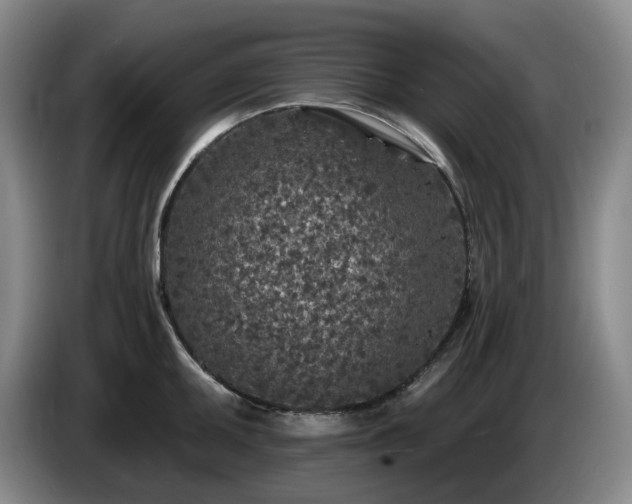 X0000085001095200703121455