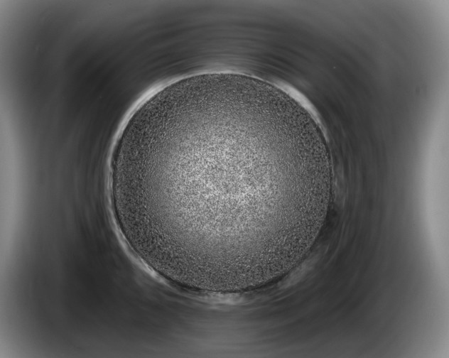 X0000085001096200703121455