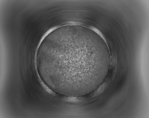 X0000085001098200703121455