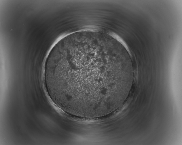 X0000085001099200703121455