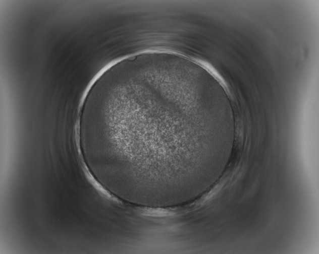 X0000085001100200703121455