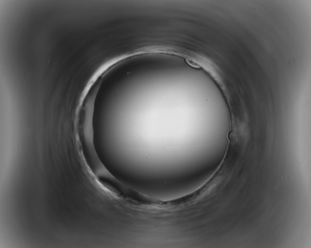 X0000085001102200703121455