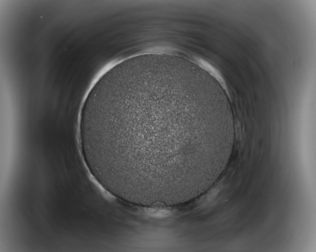 X0000085001103200703121455